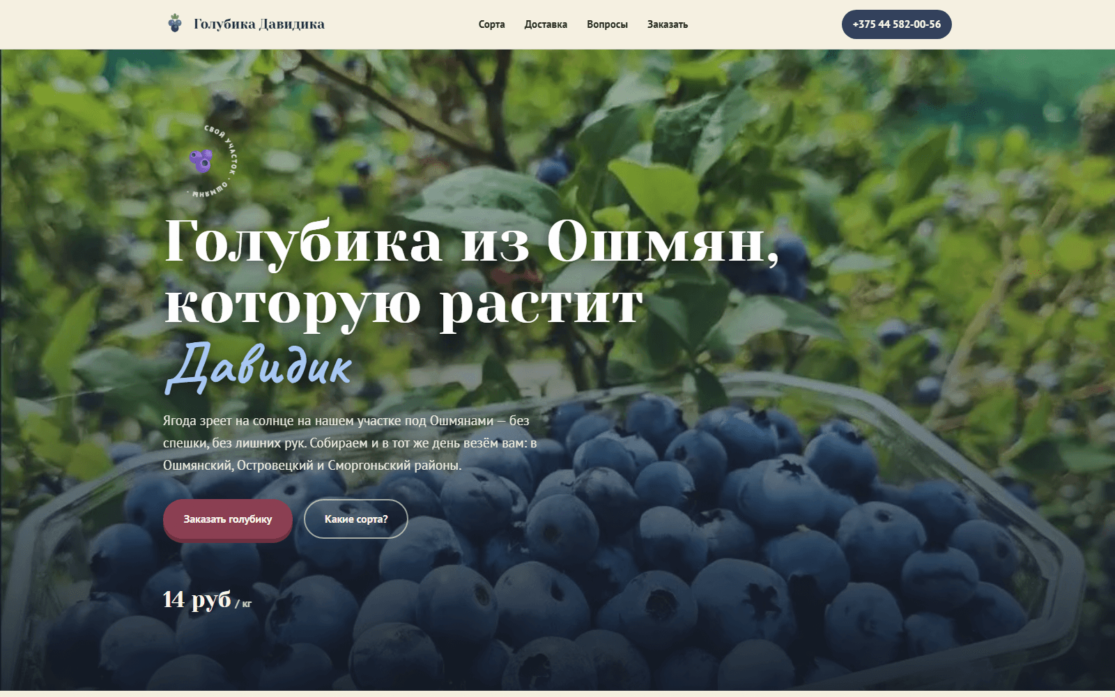 Голубика Давидика